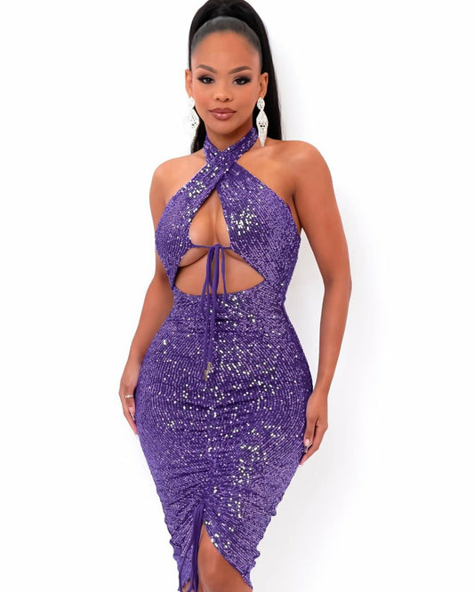 Purple Dazzled Dress